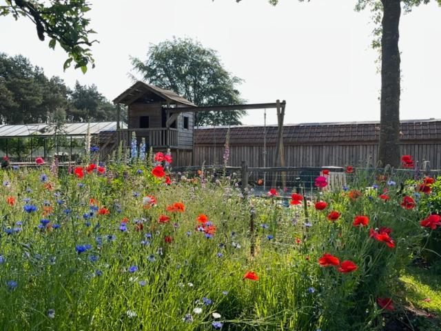 Logies Tuin Der Zinnen Rijkevorsel Екстериор снимка