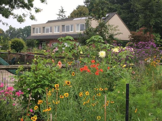 Logies Tuin Der Zinnen Rijkevorsel Екстериор снимка
